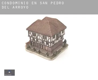 Condominio en San Pedro del Arroyo