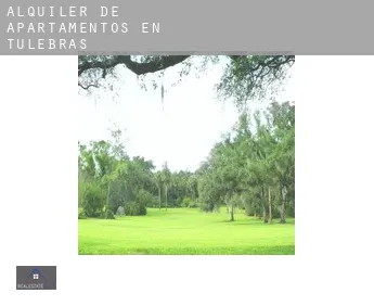 Alquiler de apartamentos en  Tulebras