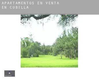 Apartamentos en venta en  Cubilla