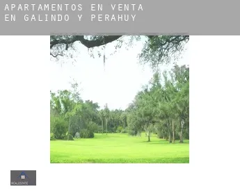 Apartamentos en venta en  Galindo y Perahuy