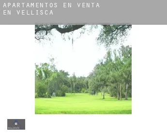 Apartamentos en venta en  Vellisca