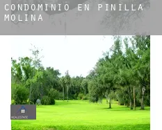 Condominio en  Pinilla de Molina
