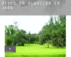 Pisos en alquiler en Jaén