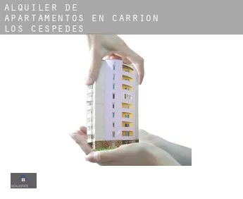 Alquiler de apartamentos en  Carrión de los Céspedes