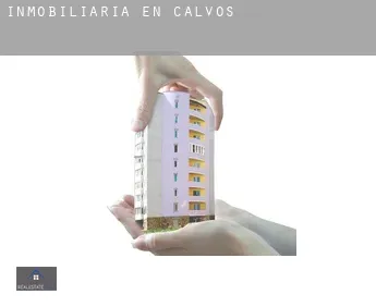 Inmobiliaria en  Calvos