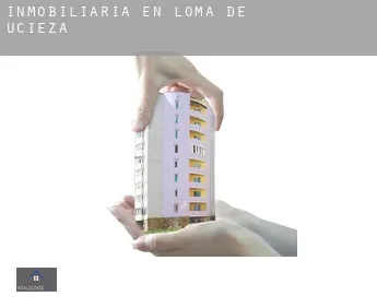 Inmobiliaria en  Loma de Ucieza