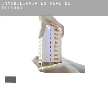 Inmobiliaria en  Peal de Becerro