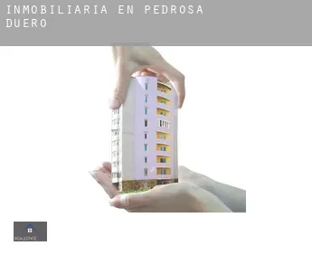 Inmobiliaria en  Pedrosa de Duero