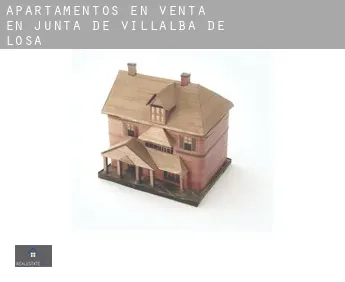Apartamentos en venta en  Junta de Villalba de Losa