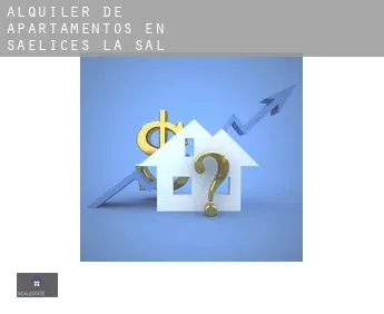 Alquiler de apartamentos en  Saelices de la Sal