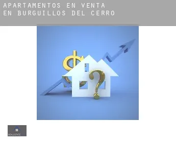 Apartamentos en venta en  Burguillos del Cerro