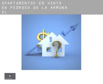 Apartamentos en venta en  Pedroso de la Armuña (El)