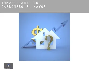 Inmobiliaria en Carbonero el Mayor