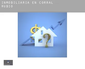 Inmobiliaria en  Corral-Rubio