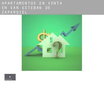 Apartamentos en venta en  San Esteban de Zapardiel