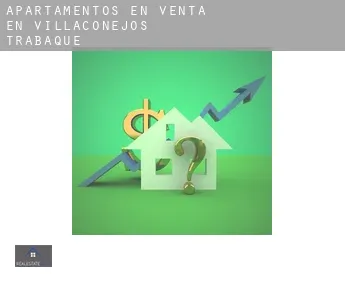 Apartamentos en venta en  Villaconejos de Trabaque