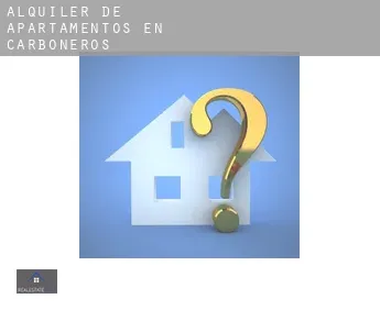 Alquiler de apartamentos en  Carboneros