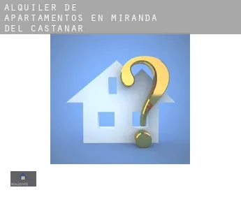 Alquiler de apartamentos en  Miranda del Castañar