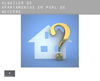 Alquiler de apartamentos en  Peal de Becerro