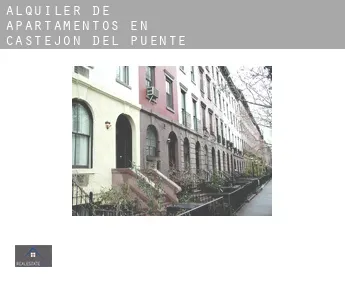 Alquiler de apartamentos en  Castejón del Puente