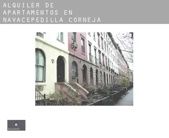Alquiler de apartamentos en  Navacepedilla de Corneja
