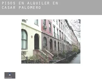 Pisos en alquiler en  Casar de Palomero