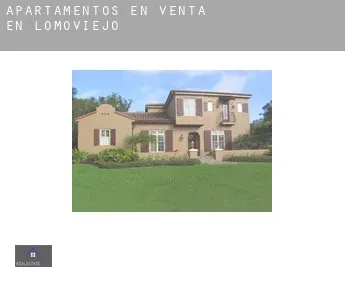 Apartamentos en venta en  Lomoviejo