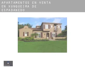 Apartamentos en venta en  Xunqueira de Espadanedo