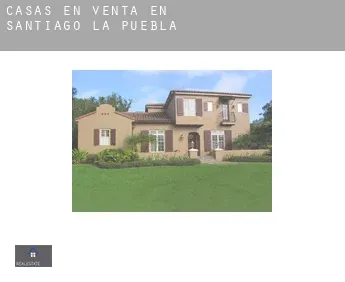 Casas en venta en  Santiago de la Puebla