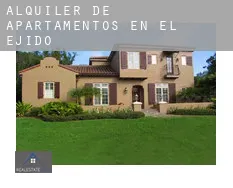 Alquiler de apartamentos en  El Ejido