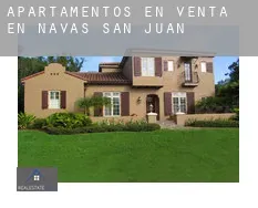 Apartamentos en venta en  Navas de San Juan