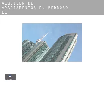 Alquiler de apartamentos en  Pedroso (El)