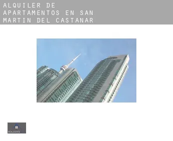 Alquiler de apartamentos en  San Martín del Castañar