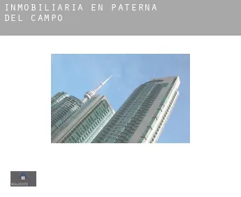 Inmobiliaria en  Paterna del Campo