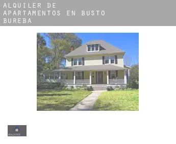 Alquiler de apartamentos en  Busto de Bureba