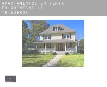 Apartamentos en venta en  Quintanilla de Trigueros