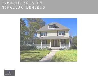 Inmobiliaria en  Moraleja de Enmedio