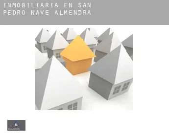 Inmobiliaria en  San Pedro de la Nave-Almendra