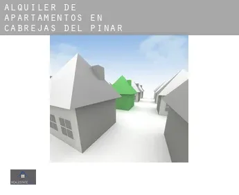 Alquiler de apartamentos en  Cabrejas del Pinar