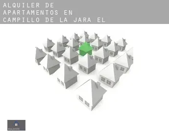 Alquiler de apartamentos en  Campillo de la Jara (El)