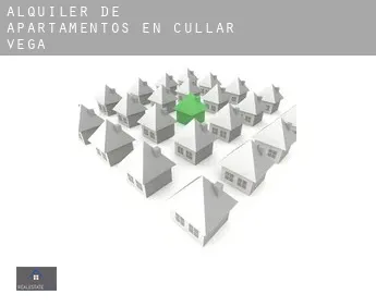Alquiler de apartamentos en  Cúllar-Vega