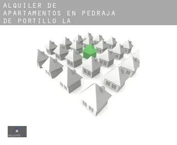 Alquiler de apartamentos en  Pedraja de Portillo (La)