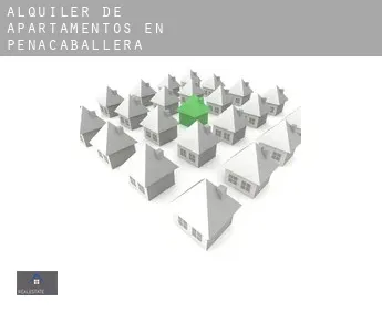 Alquiler de apartamentos en  Peñacaballera