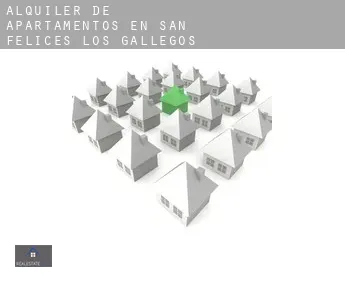 Alquiler de apartamentos en  San Felices de los Gallegos