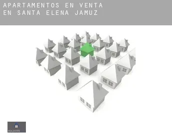 Apartamentos en venta en  Santa Elena de Jamuz