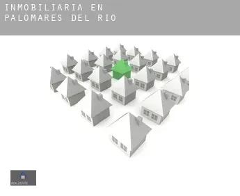 Inmobiliaria en Palomares del Río