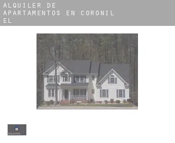 Alquiler de apartamentos en  Coronil (El)