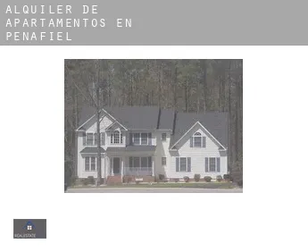 Alquiler de apartamentos en  Peñafiel