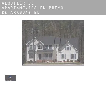 Alquiler de apartamentos en  Pueyo de Araguás (El)