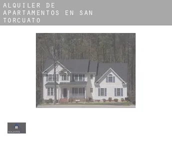Alquiler de apartamentos en  San Torcuato